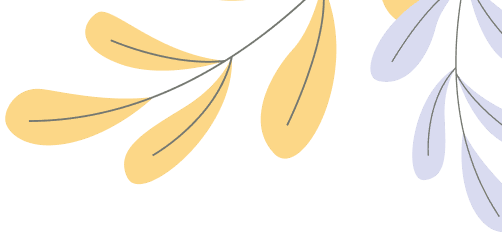 Comfort Manual Wheelchairs